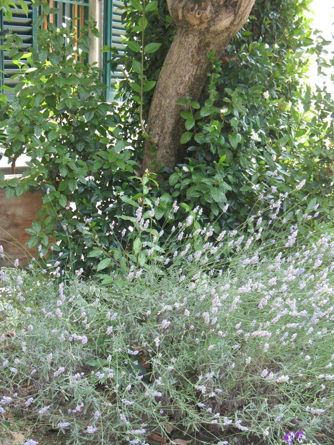 D'Arte Διαμέρισμα Έμπολι Εξωτερικό φωτογραφία